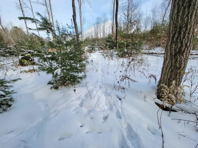 $85,000 | 1735 South Road, Bradford, VT 05033