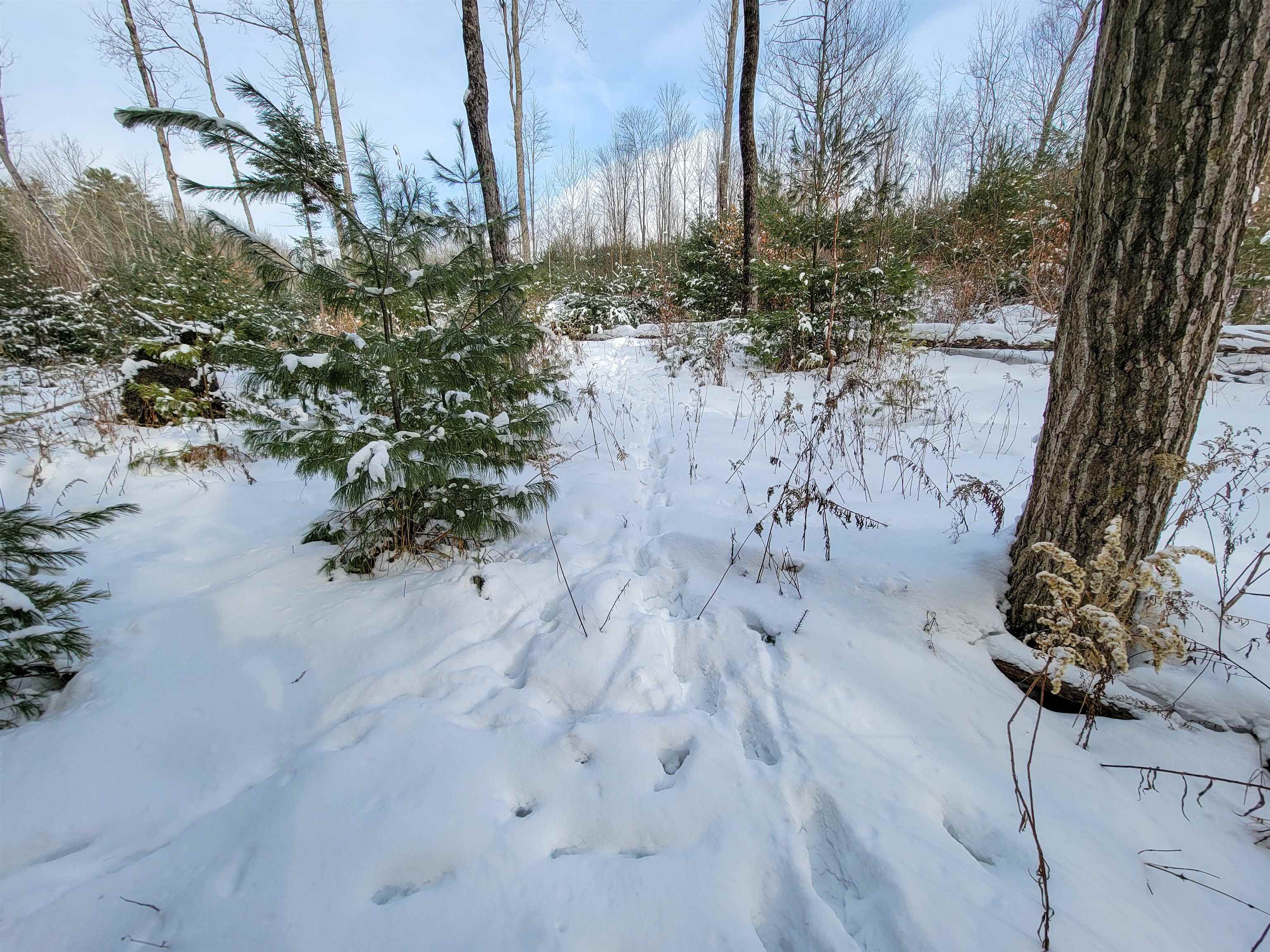 1735 South Road Bradford, VT 05033 - Photo 24 of 45