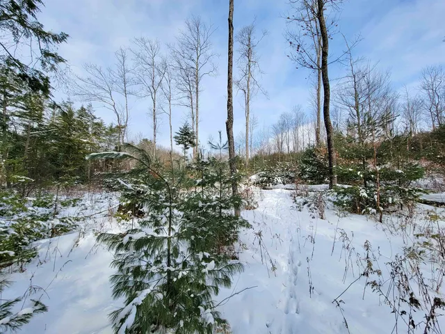 $85,000 | 1735 South Road, Bradford, VT 05033