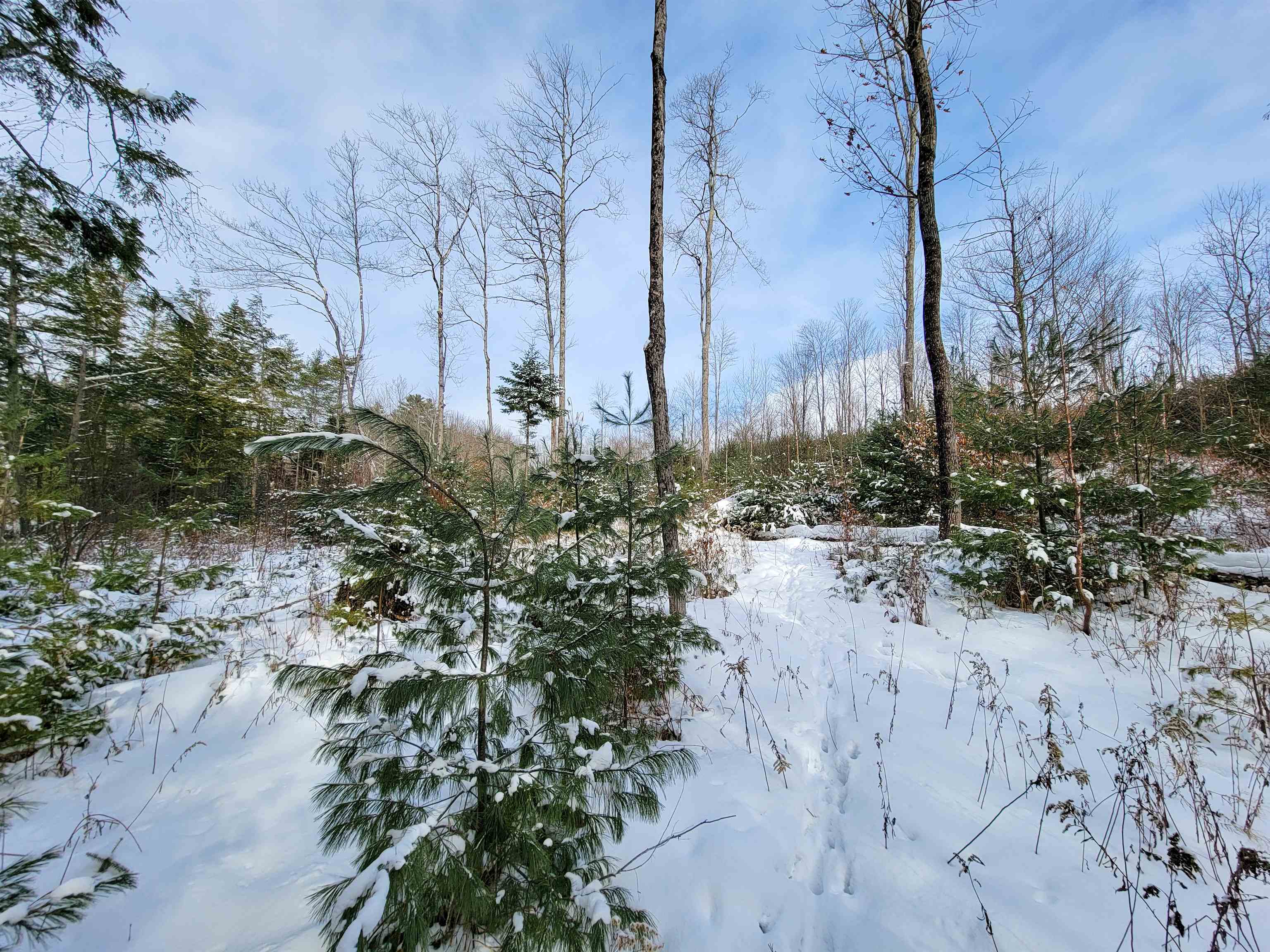 1735 South Road Bradford, VT 05033 - Photo 25 of 45