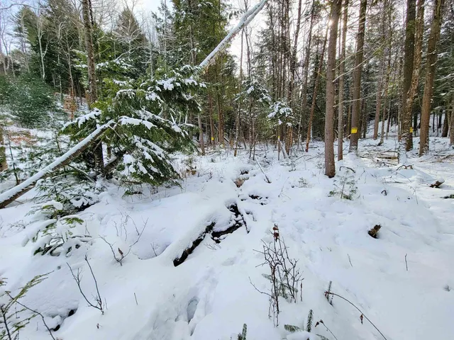 $85,000 | 1735 South Road, Bradford, VT 05033