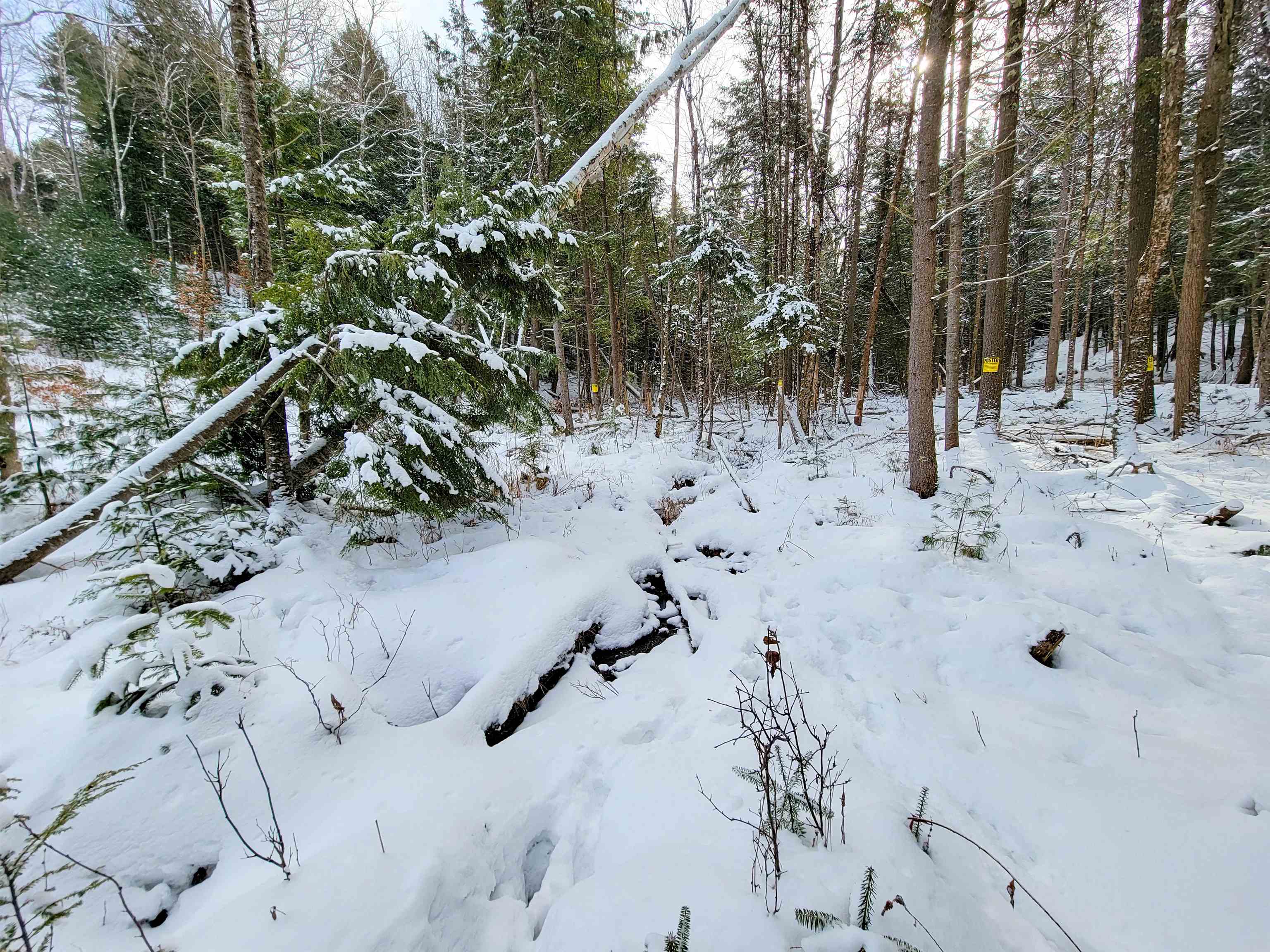 1735 South Road Bradford, VT 05033 - Photo 26 of 45