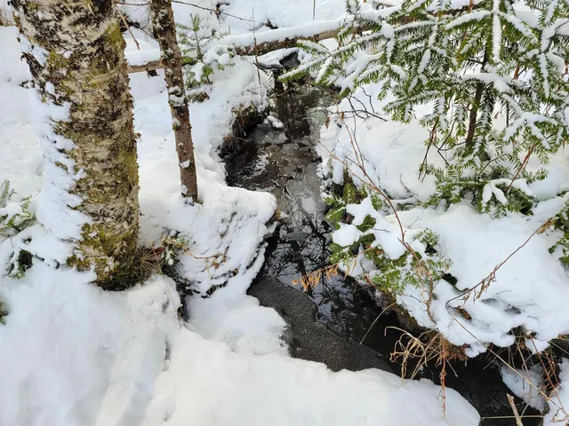 $85,000 | 1735 South Road, Bradford, VT 05033