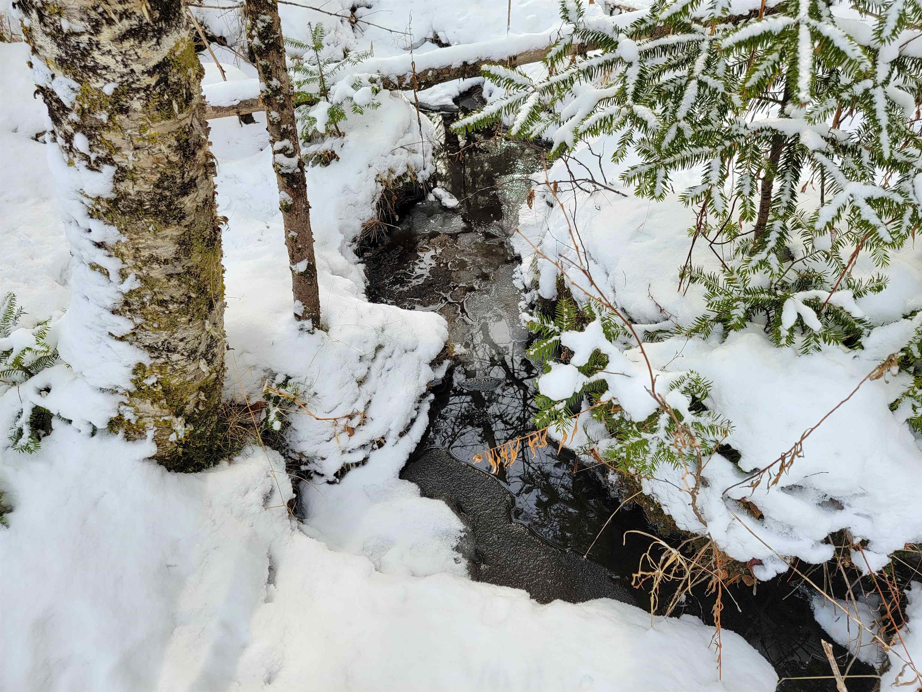 1735 South Road Bradford, VT 05033 - Photo 4 of 45