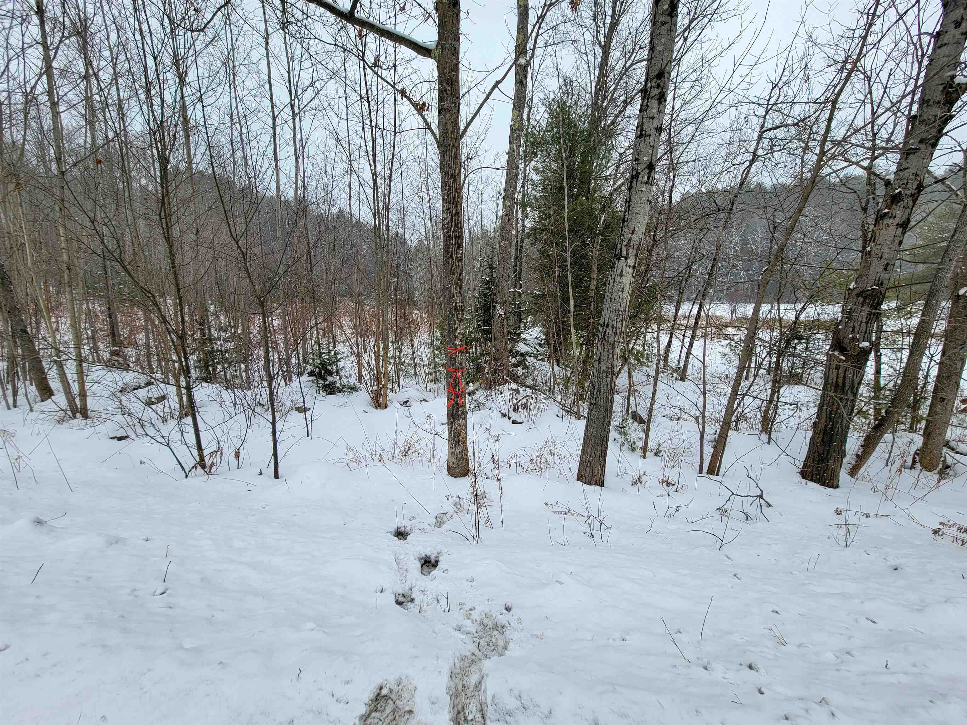 1735 South Road Bradford, VT 05033 - Photo 43 of 45