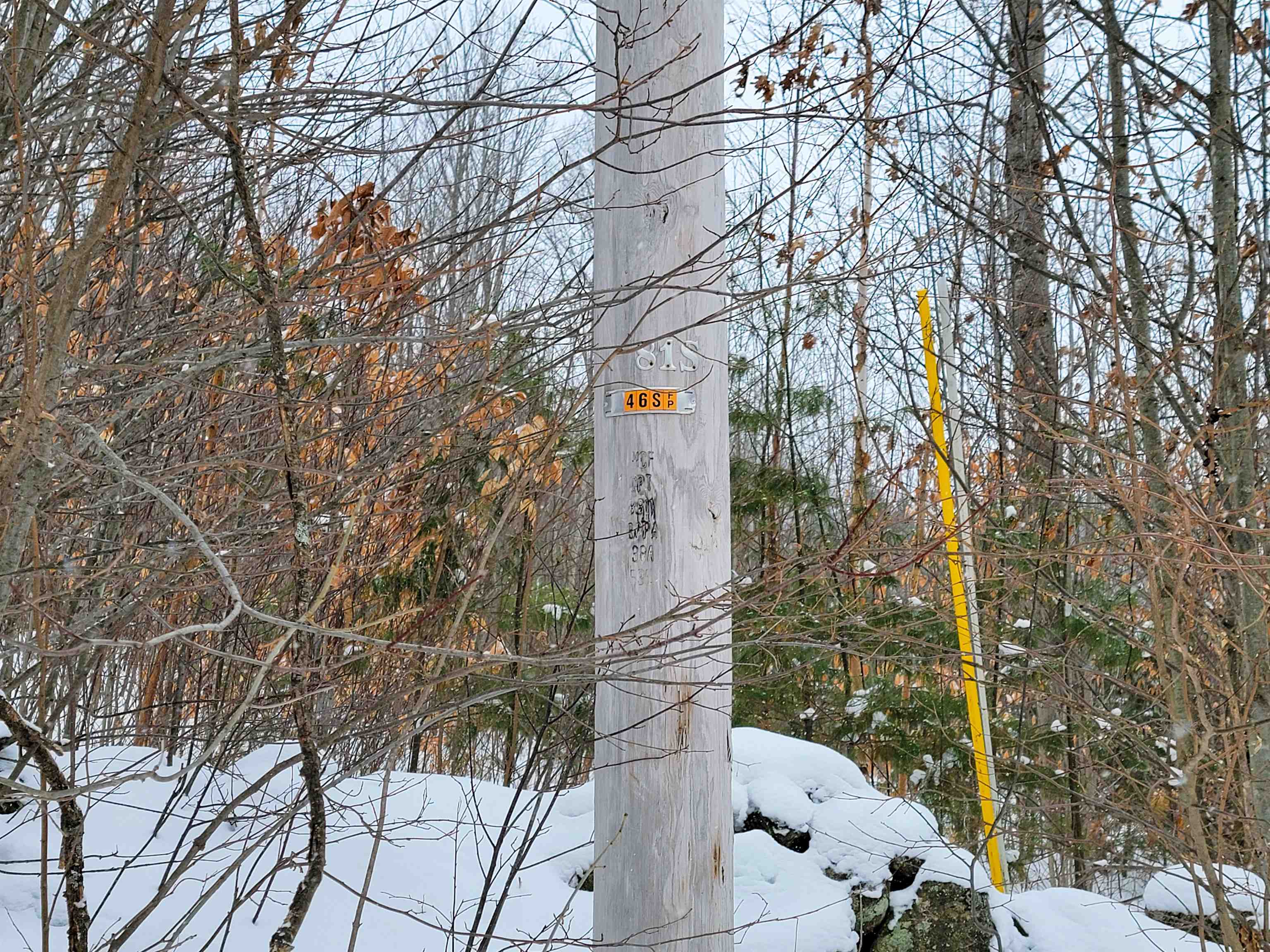 1735 South Road Bradford, VT 05033 - Photo 44 of 45