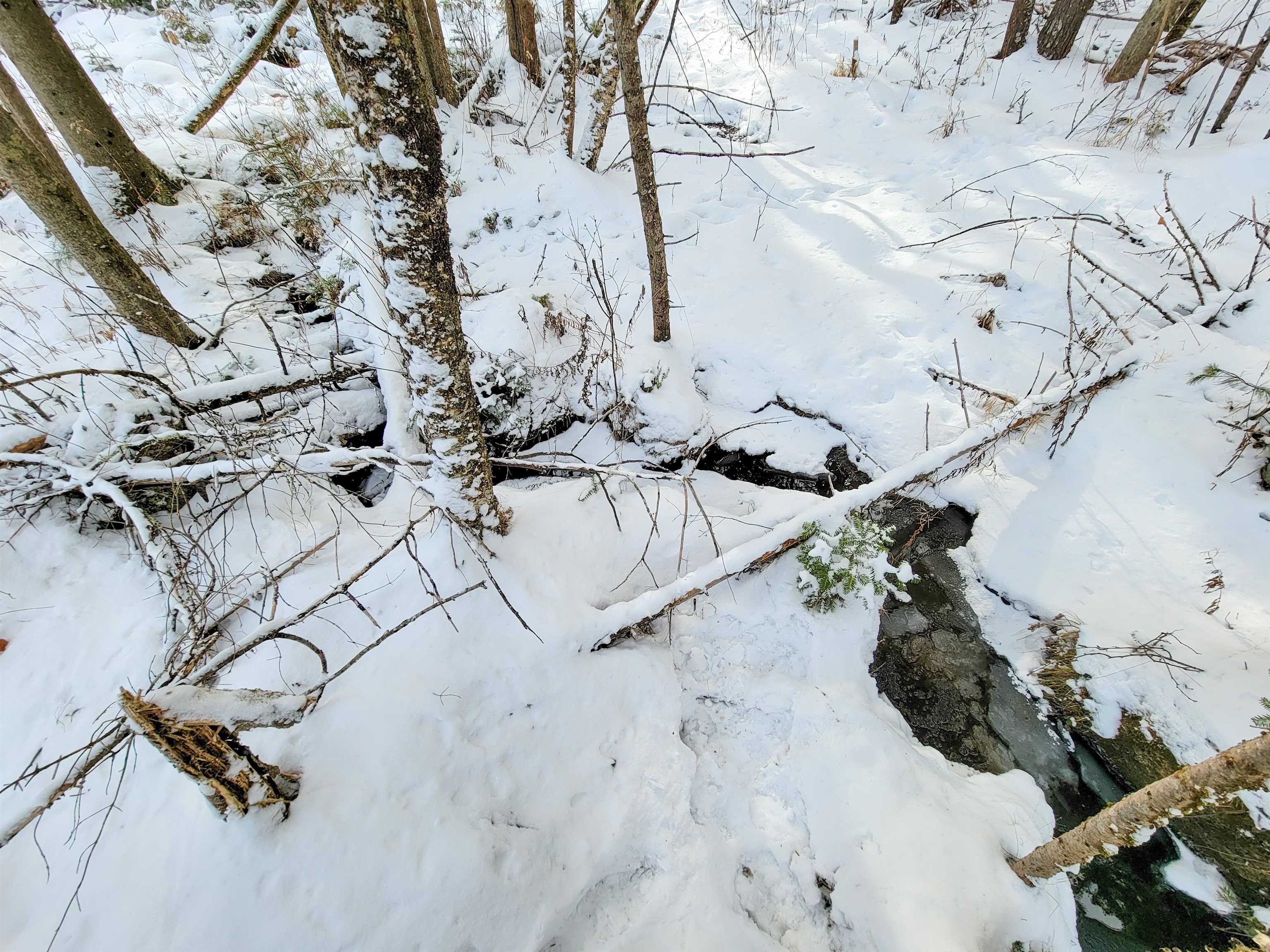 1735 South Road Bradford, VT 05033 - Photo 5 of 45