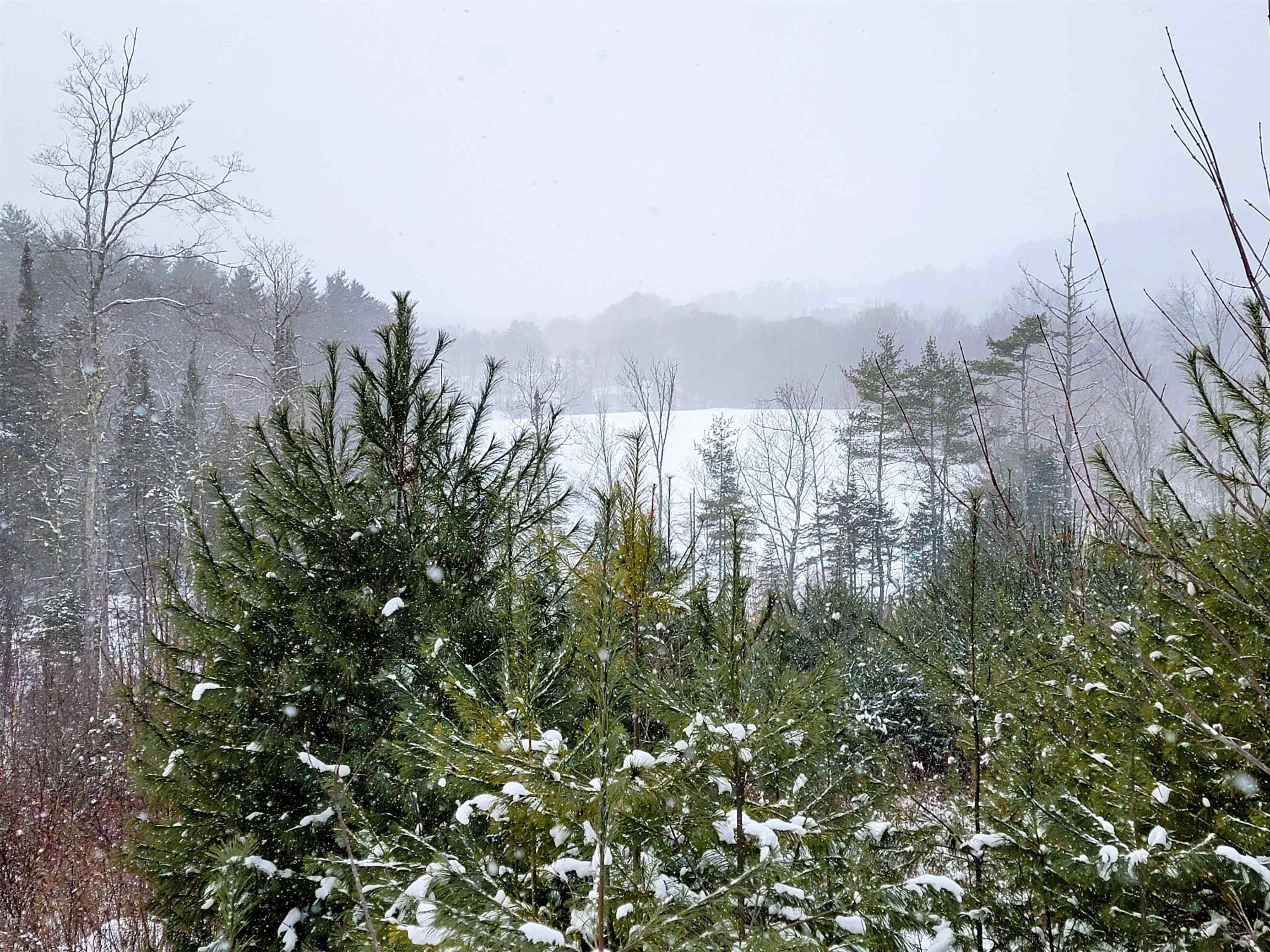 1735 South Road Bradford, VT 05033 - Photo 6 of 45