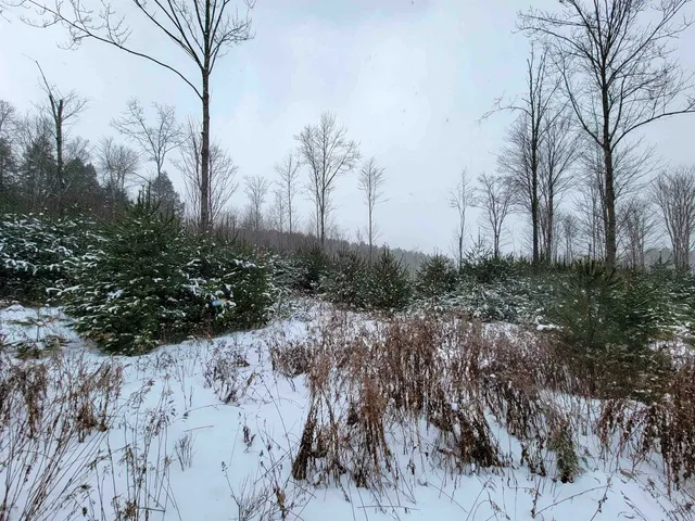 $85,000 | 1735 South Road, Bradford, VT 05033