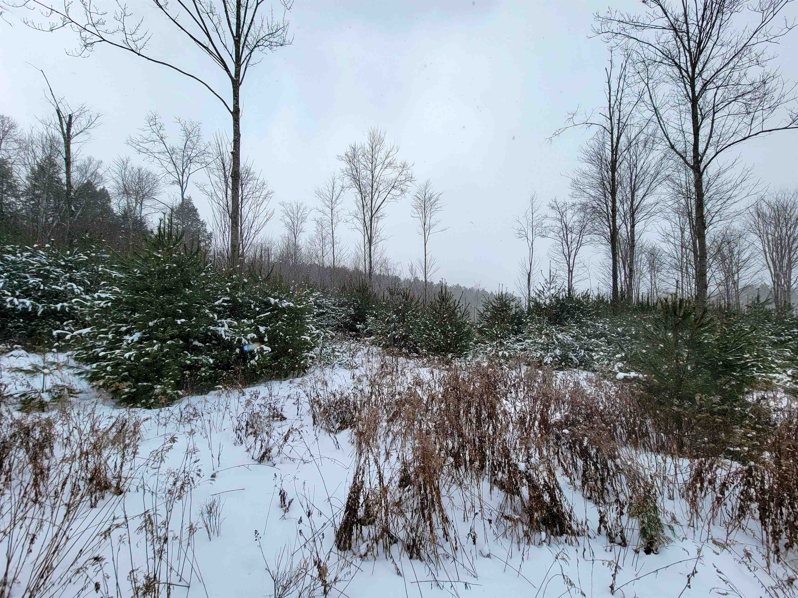 1735 South Road Bradford, VT 05033 - Photo 8 of 45