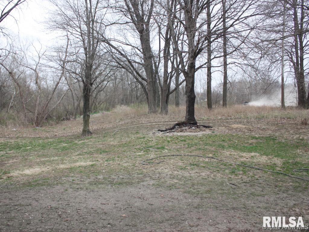 320 Meadowbrook Road Springfield, IL 62711 - Photo 13 of 13