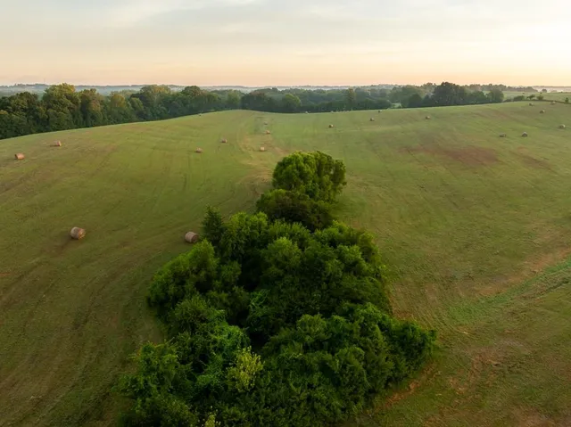 $496,400 | West 73rd Street, Orrick, MO 64077