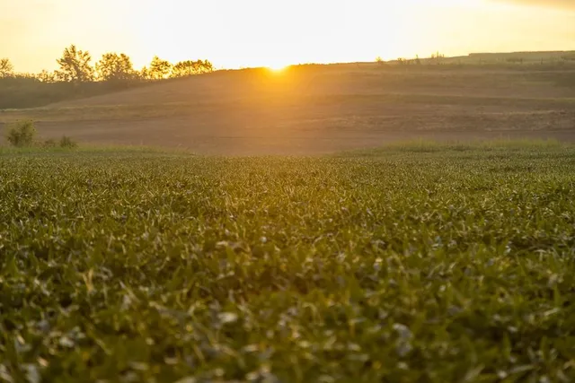 $496,400 | West 73rd Street, Orrick, MO 64077