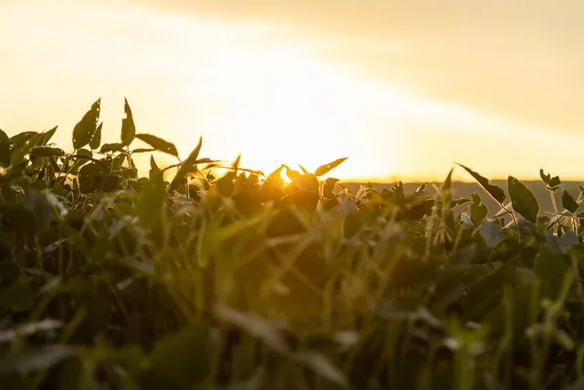 $496,400 | West 73rd Street, Orrick, MO 64077