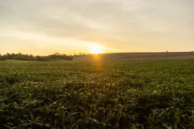 $496,400 | West 73rd Street, Orrick, MO 64077