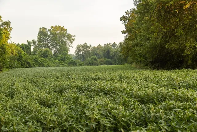 $496,400 | West 73rd Street, Orrick, MO 64077