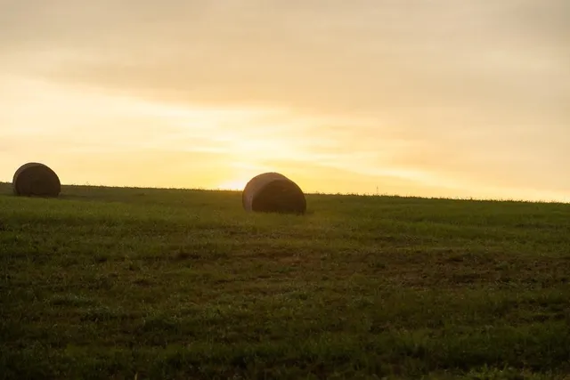 $496,400 | West 73rd Street, Orrick, MO 64077