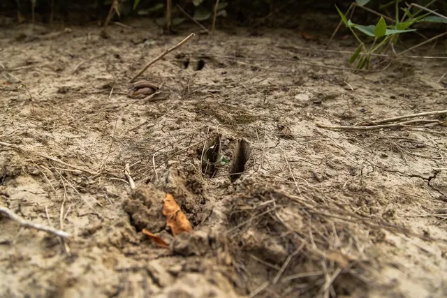 $496,400 | West 73rd Street, Orrick, MO 64077