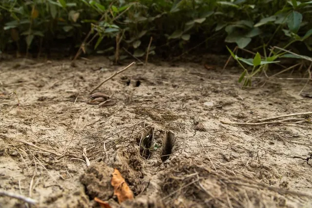 $496,400 | West 73rd Street, Orrick, MO 64077