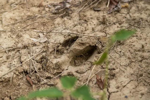 $496,400 | West 73rd Street, Orrick, MO 64077