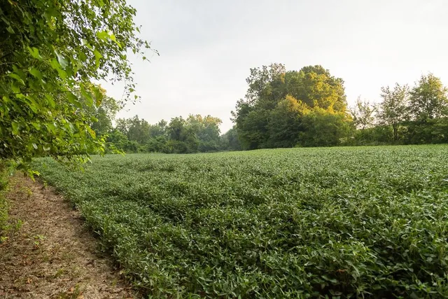 $496,400 | West 73rd Street, Orrick, MO 64077