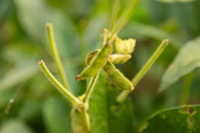 $496,400 | West 73rd Street, Orrick, MO 64077