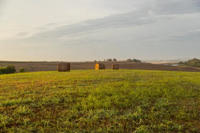 $496,400 | West 73rd Street, Orrick, MO 64077