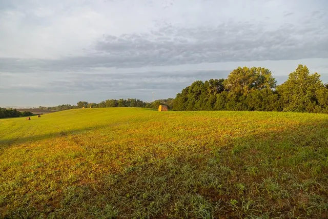 $496,400 | West 73rd Street, Orrick, MO 64077