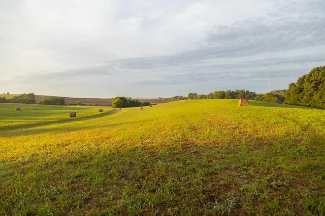 $496,400 | West 73rd Street, Orrick, MO 64077