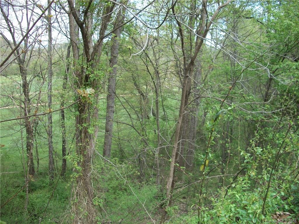 Lot#14 Aldersgate Road, Unit 14 Waynesville, NC 28786 - Photo 6 of 16 a view of a lush green forest