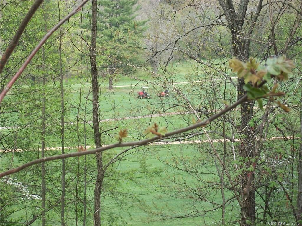 Lot#14 Aldersgate Road, Unit 14 Waynesville, NC 28786 - Photo 7 of 16 a view of a yard