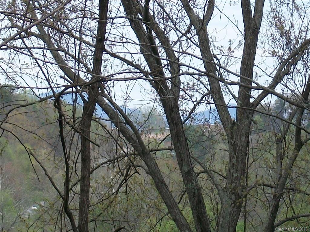 Lot#14 Aldersgate Road, Unit 14 Waynesville, NC 28786 - Photo 9 of 16 a view of tree with two of trees