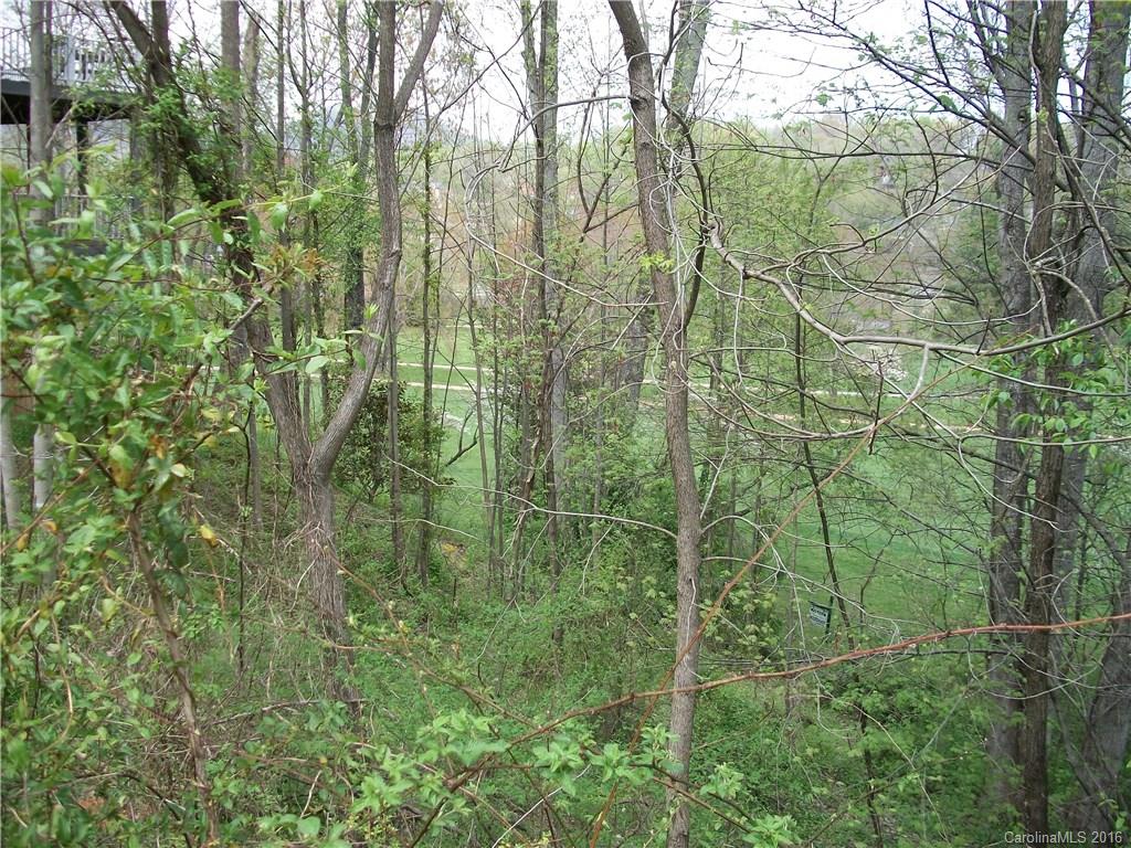 Lot#14 Aldersgate Road, Unit 14 Waynesville, NC 28786 - Photo 10 of 16 a view of a green yard