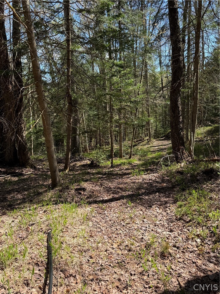 Lot # Meekerville Road Forestport, NY 13338 - Photo 22 of 45