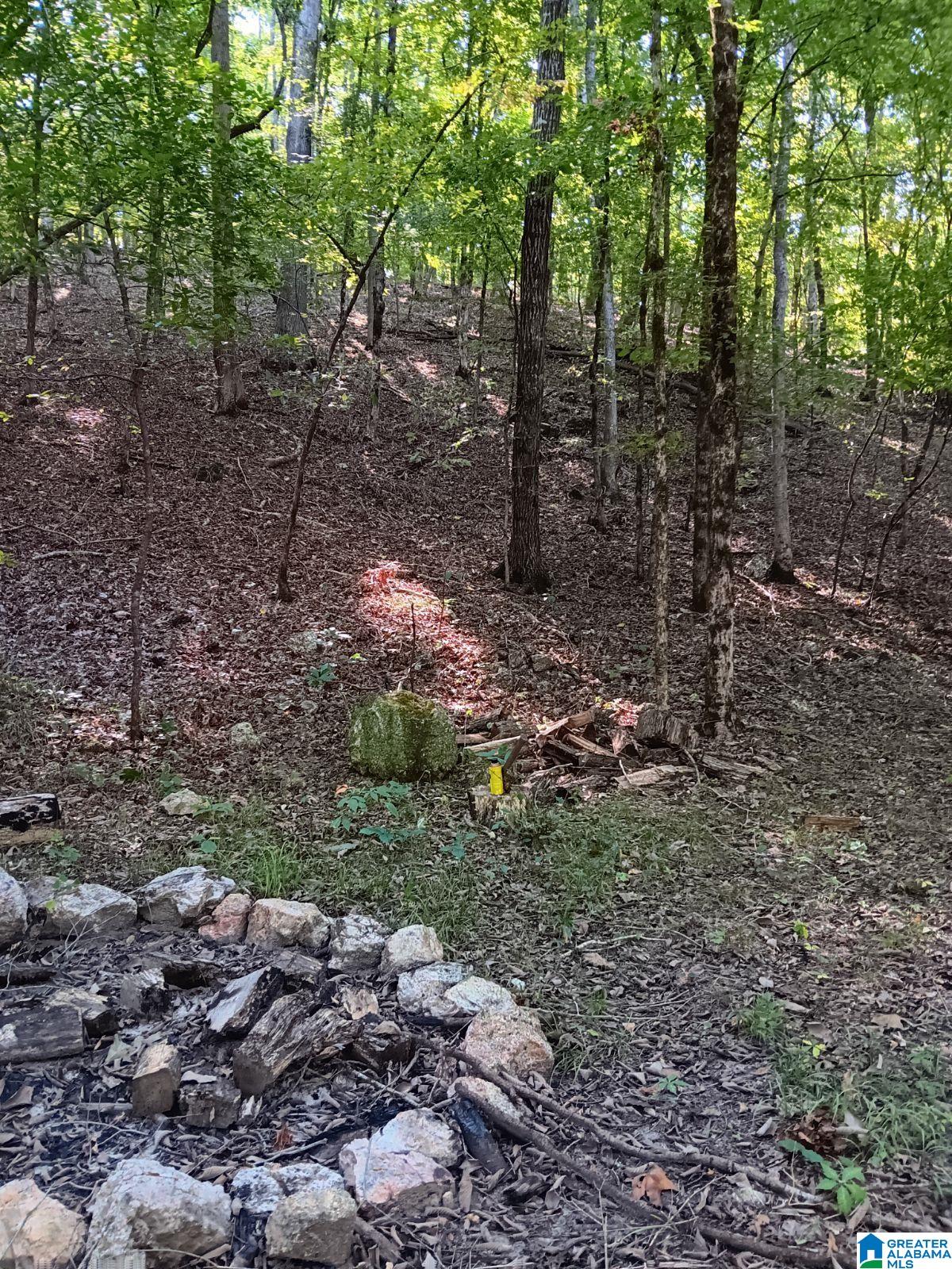 410 Rocky Branch Road Centreville, AL 35042 - Photo 2 of 6