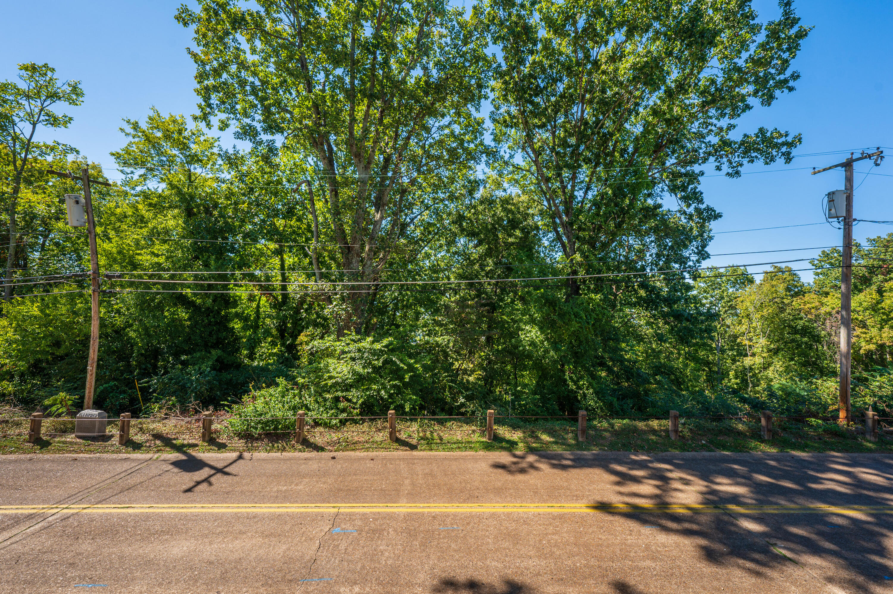 111 North Crest Road Chattanooga, TN 37404 - Photo 11 of 13 2022_09_September_111_N_Crest_Rd_0012