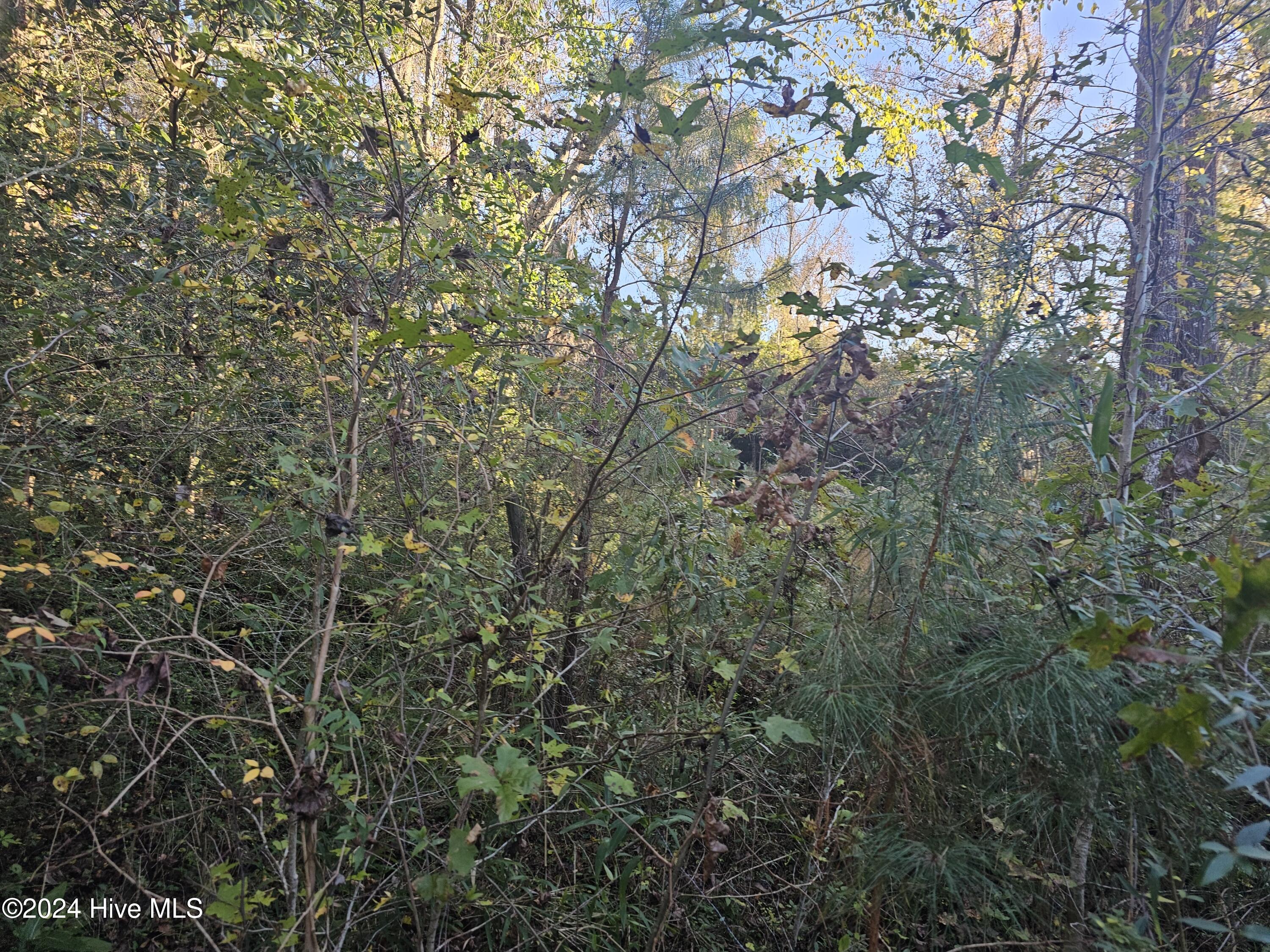 0 Porters Lane Road Rocky Point, NC 28457 - Photo 10 of 14 20241116_160348