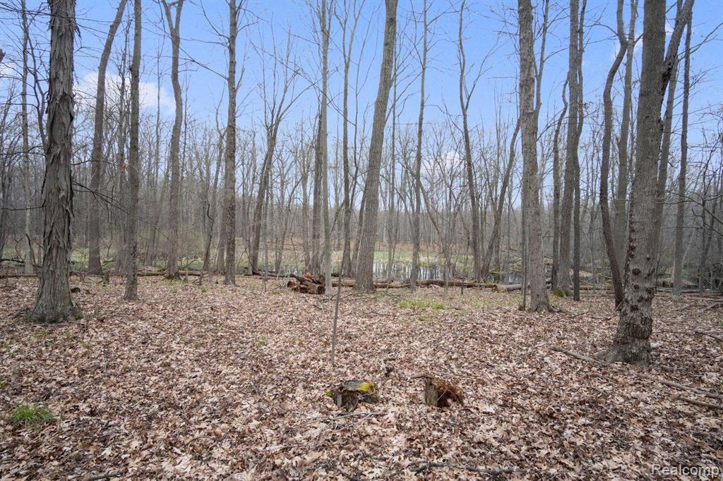 Vl Center Road Fenton, MI 48430 - Photo 1 of 16 Gallery Image 1