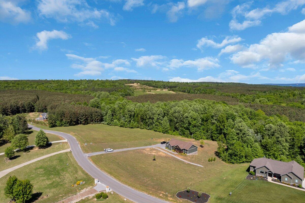 636 Raulston Falls Drive Jasper, TN 37347 - Photo 45 of 84 DJI_0351