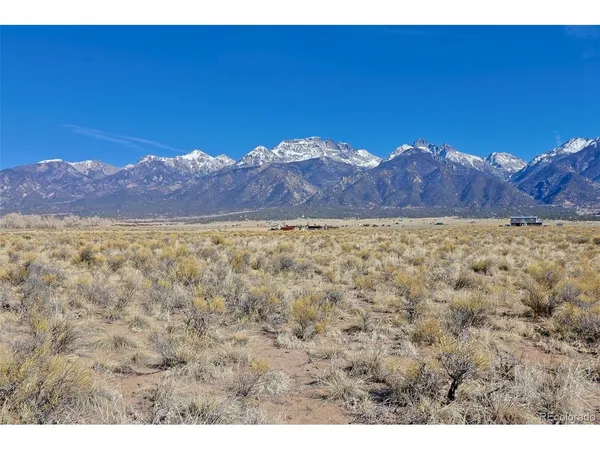 a view of a large room with a tree in the background