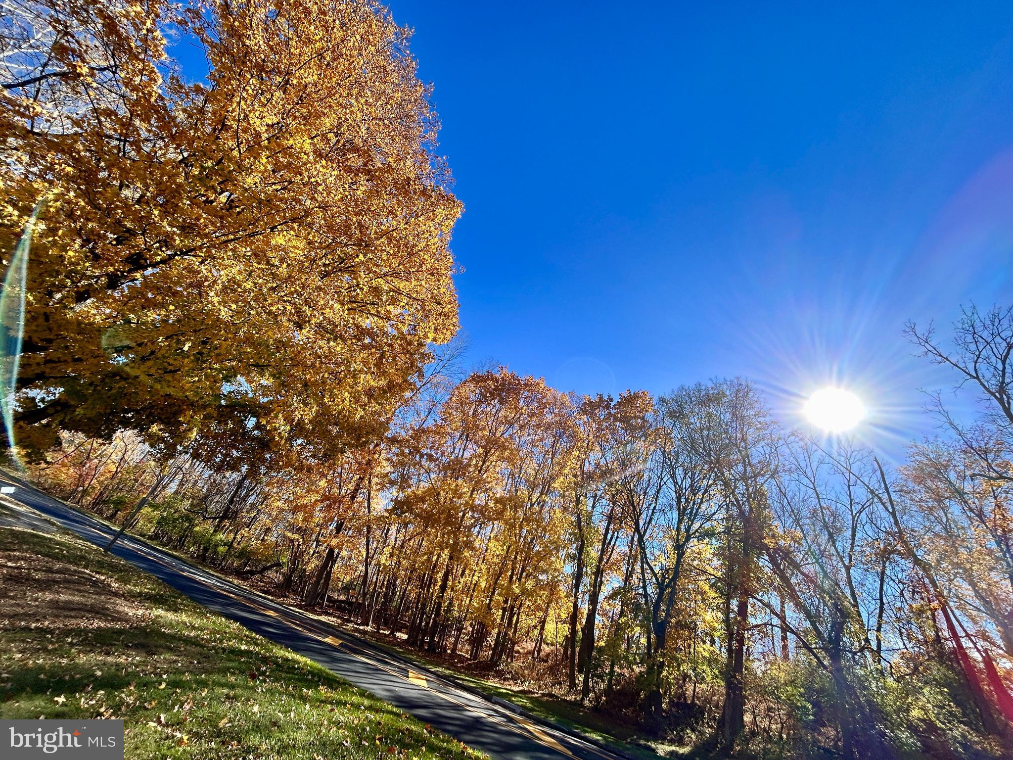 1705 Mountainview Drive, Unit 1705 Chesterbrook, PA 19087 - Photo 21 of 23