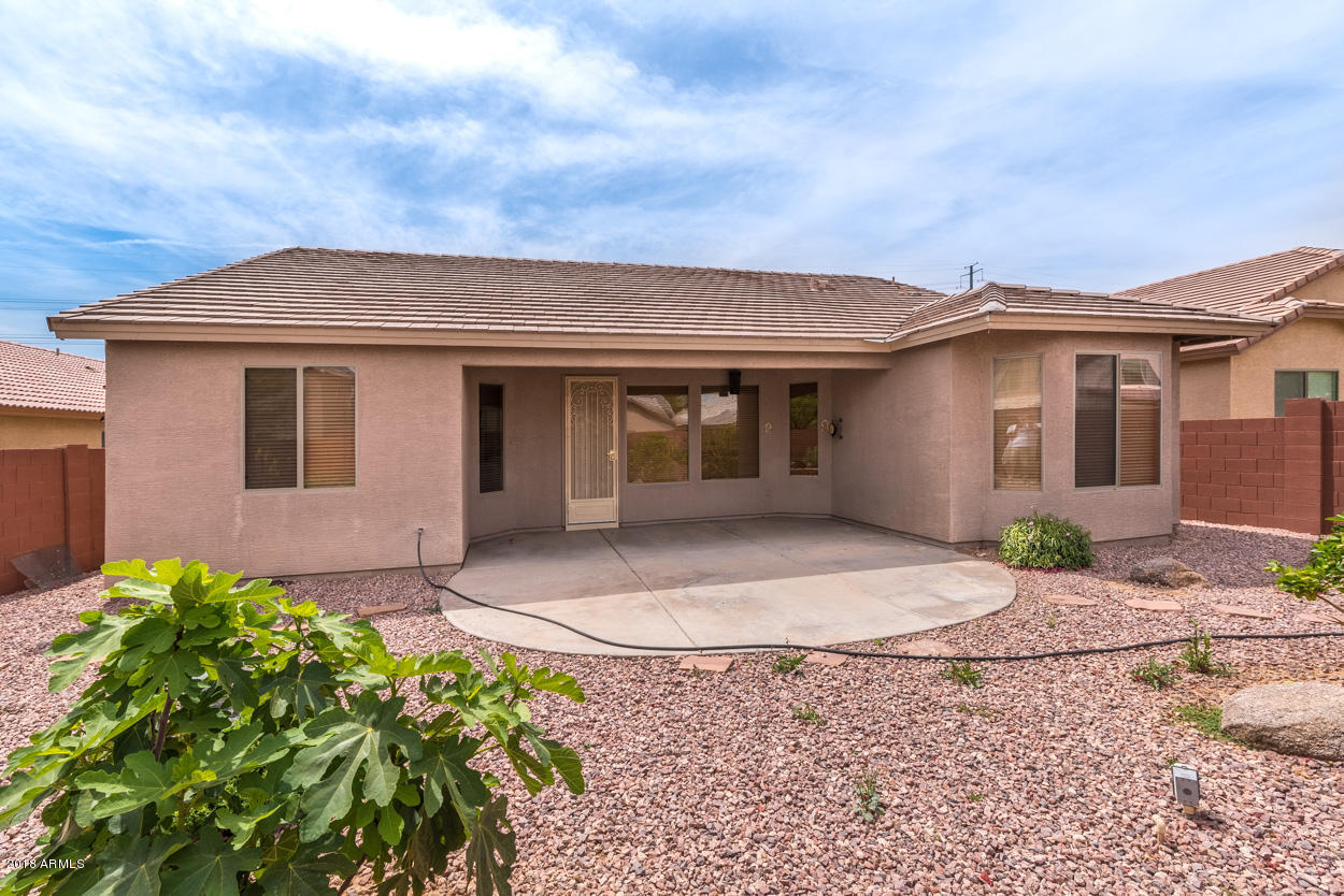 9410 West Heber Road Tolleson, AZ 85353 - Photo 24 of 26 jorge back yard5