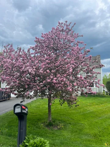 $599,900 | 1576 Pine Hill Road, Derby, VT 05855