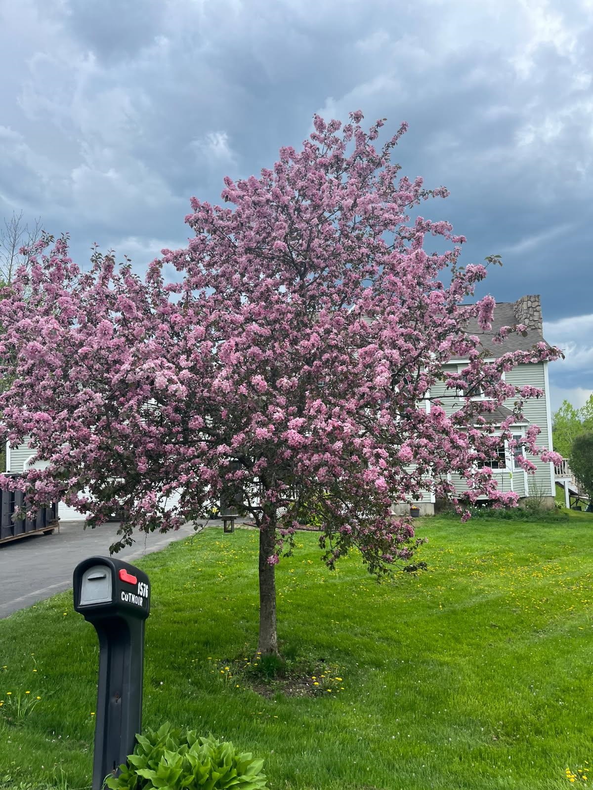 1576 Pine Hill Road Derby, VT 05855 - Photo 37 of 52