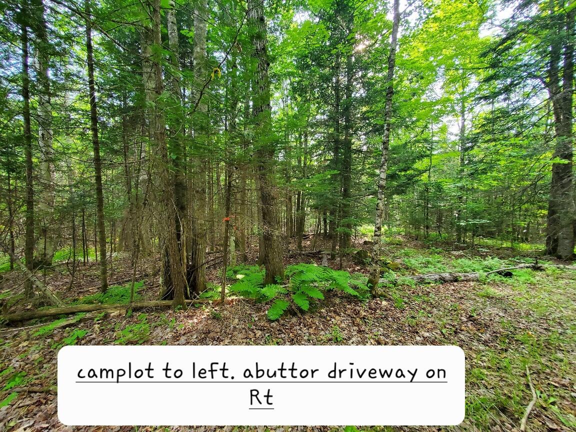 135 Andrews Road Corinth, ME 04427 - Photo 31 of 35 pin near abutter driveway