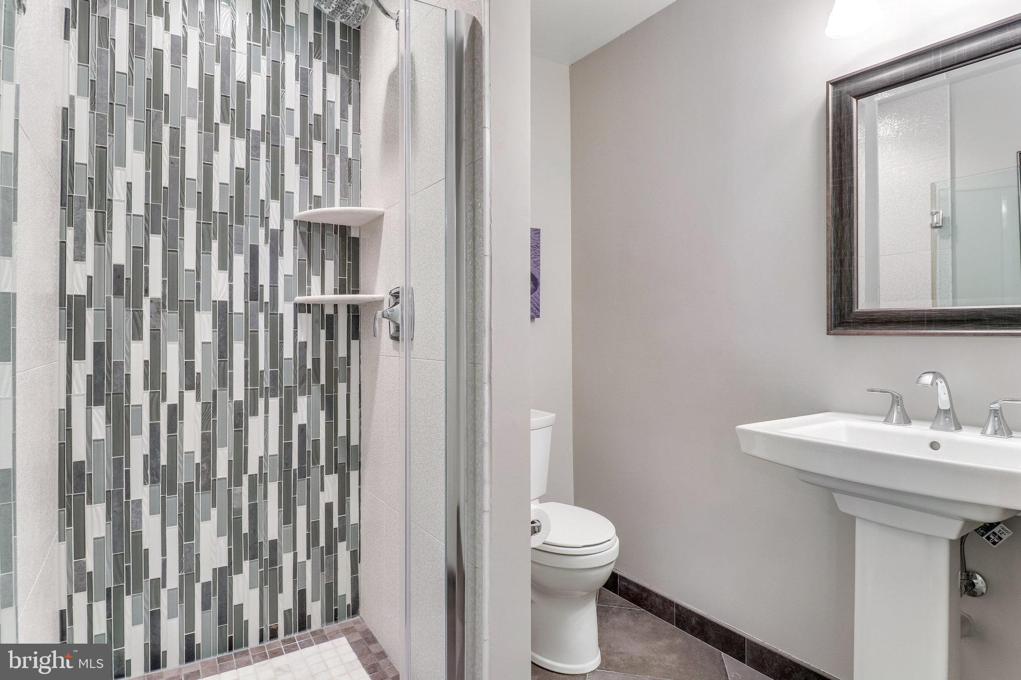 6685 Old Blacksmith Drive Burke, VA 22015 - Photo 34 of 49 Full bathroom on lower level!