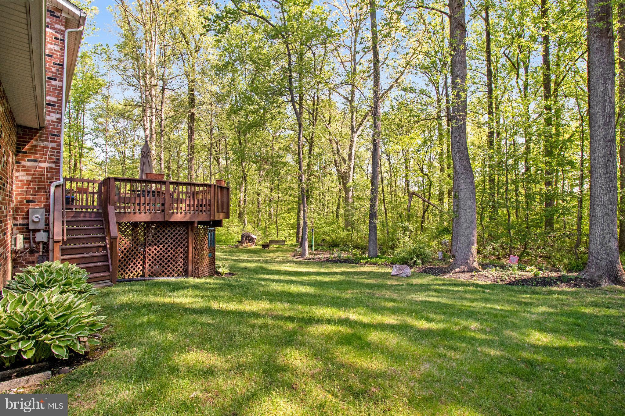 6685 Old Blacksmith Drive Burke, VA 22015 - Photo 43 of 49 Home backs to common area!