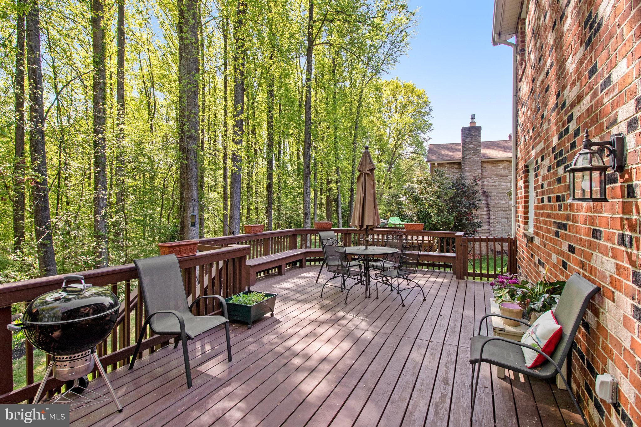 6685 Old Blacksmith Drive Burke, VA 22015 - Photo 46 of 49 Trees everywhere!