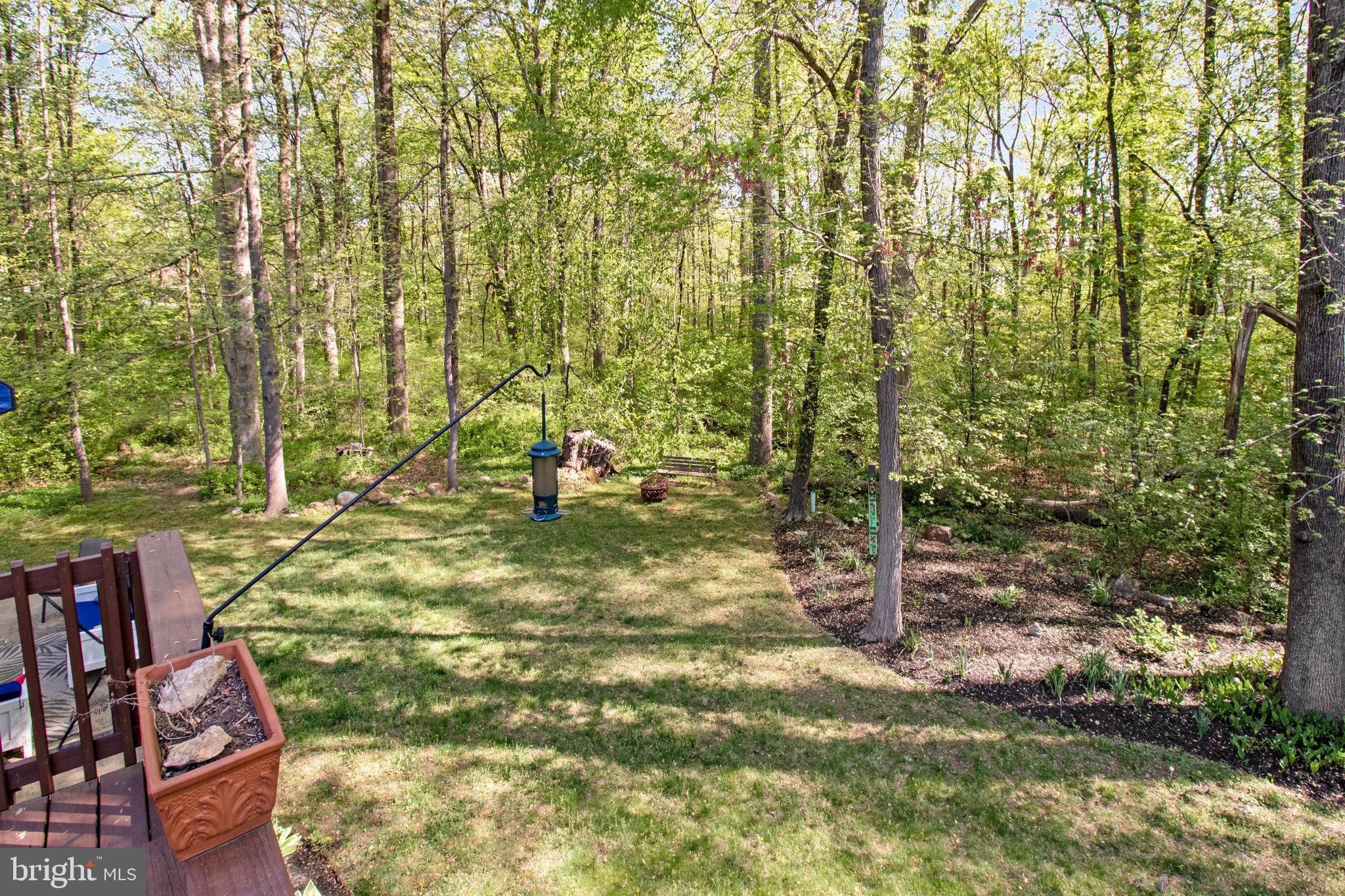 6685 Old Blacksmith Drive Burke, VA 22015 - Photo 47 of 49 View from the deck!