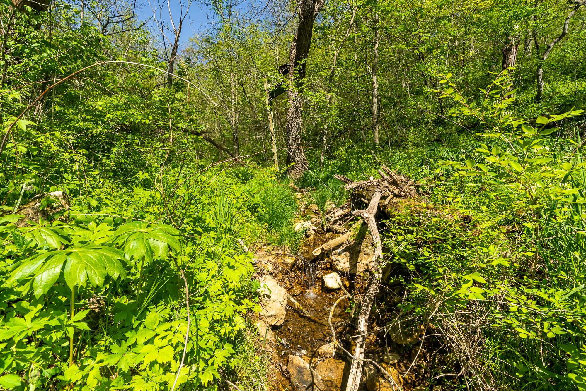 15999 Biba Road Muscoda, WI 53573 - Photo 66 of 103 Grant-County-WI-160-Acres-Land-For-Sale-